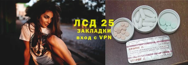 индика Аркадак