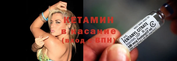 индика Аркадак