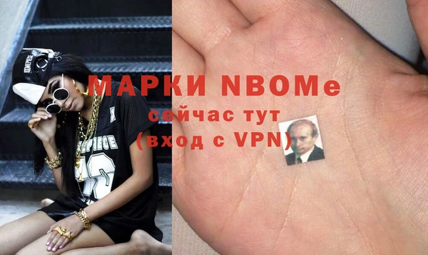 индика Аркадак