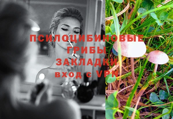 индика Аркадак