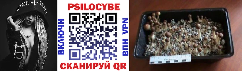 Галлюциногенные грибы мухоморы  Искитим 